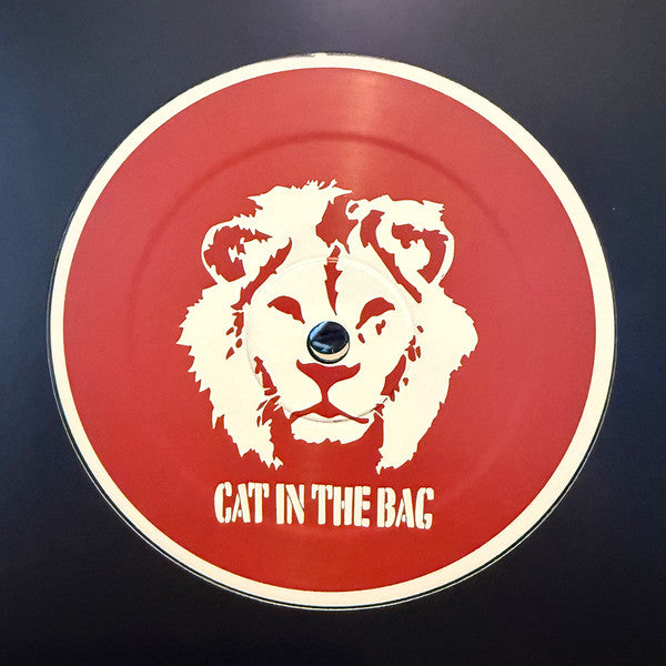 Cat In The Bag 017