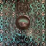 A Journey Into My Hallucination