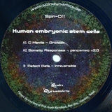 Human Embryonic Stem Cells