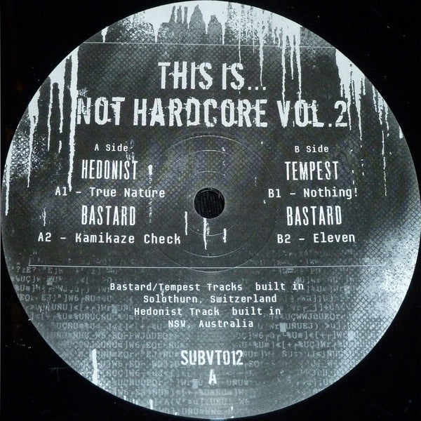 This Is... Not Hardcore Vol.2