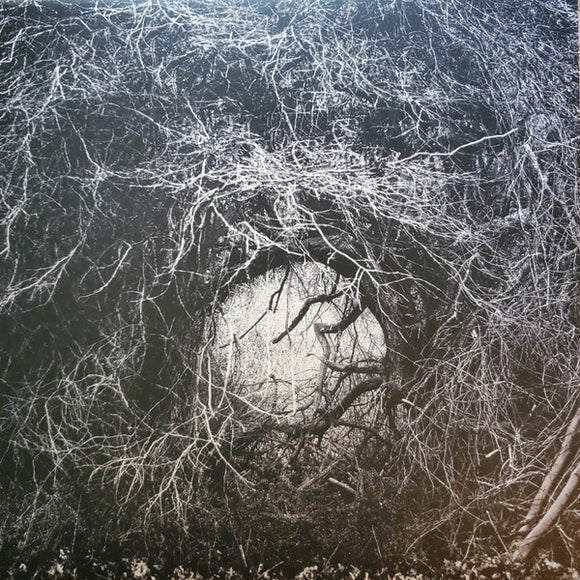 The Way Through All Things