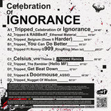 Celebration Of Ignorance