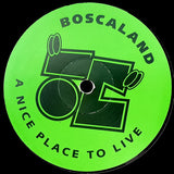 Boscanese Hedgehogs Fall To Earth