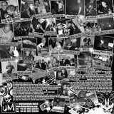 The Audio Damage All Stars LP