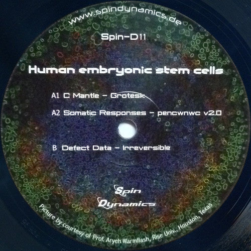 Human Embryonic Stem Cells